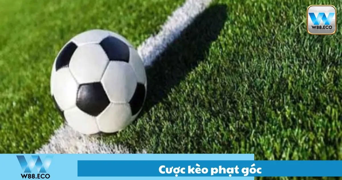 Các loại kèo phạt góc phổ biến hiện nay