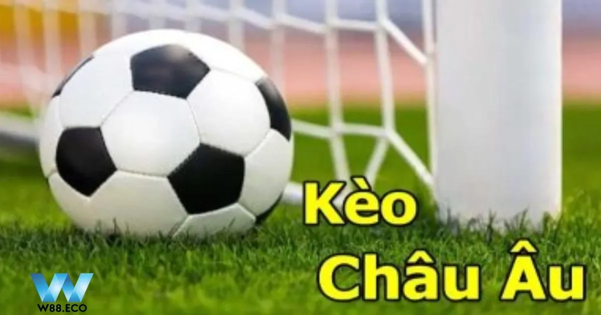 Kinh Nghiệm Cược Kèo Châu Âu W88 – Ăn Chắc, Thắng Chắc 4 Xem xét động thái của nhà cái