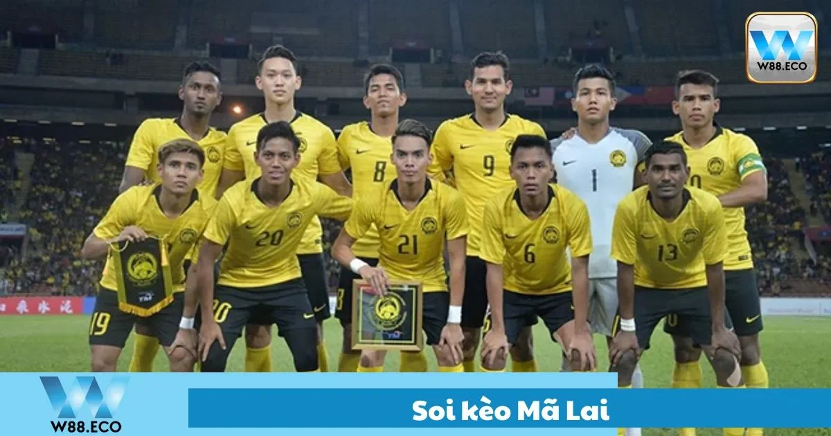 Soi kèo mã lai - thắng lớn